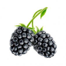 Blacк Berry | Deep Flavours