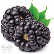 Blackberry Natural | Flavor West